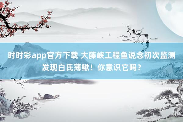 时时彩app官方下载 大藤峡工程鱼说念初次监测发现白氏薄鳅！你意识它吗？