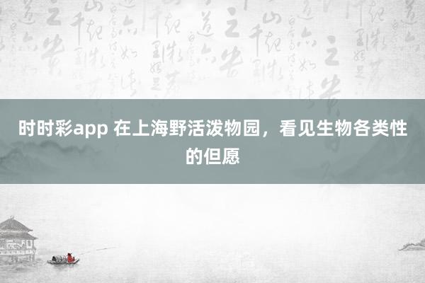 时时彩app 在上海野活泼物园，看见生物各类性的但愿
