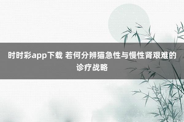 时时彩app下载 若何分辨猫急性与慢性肾艰难的诊疗战略
