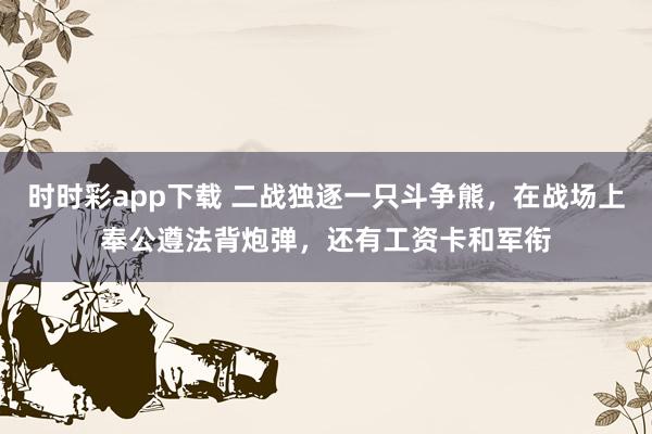 时时彩app下载 二战独逐一只斗争熊，在战场上奉公遵法背炮弹，还有工资卡和军衔