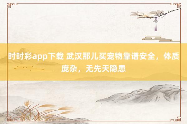 时时彩app下载 武汉那儿买宠物靠谱安全，体质庞杂，无先天隐患