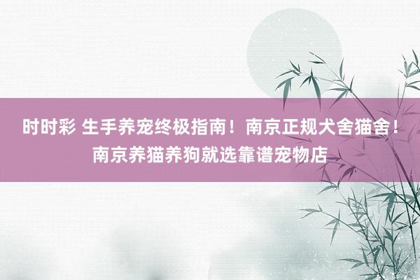 时时彩 生手养宠终极指南！南京正规犬舍猫舍！南京养猫养狗就选靠谱宠物店