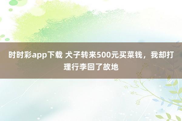时时彩app下载 犬子转来500元买菜钱，我却打理行李回了故地