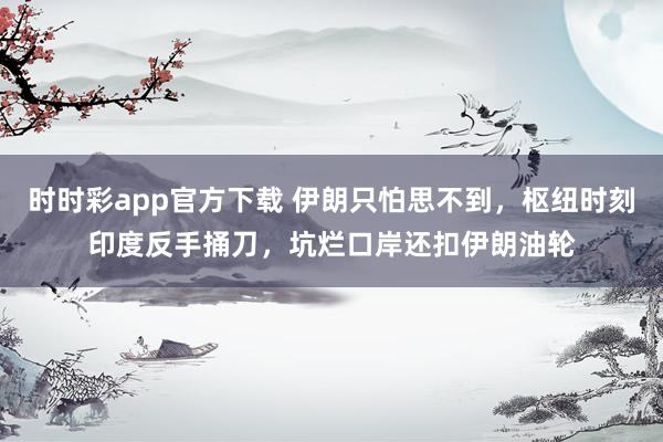 时时彩app官方下载 伊朗只怕思不到，枢纽时刻印度反手捅刀，坑烂口岸还扣伊朗油轮