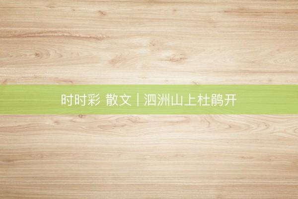 时时彩 散文 | 泗洲山上杜鹃开
